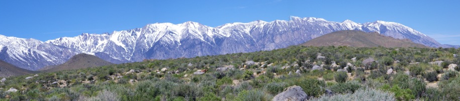 Inyo National Forest 3